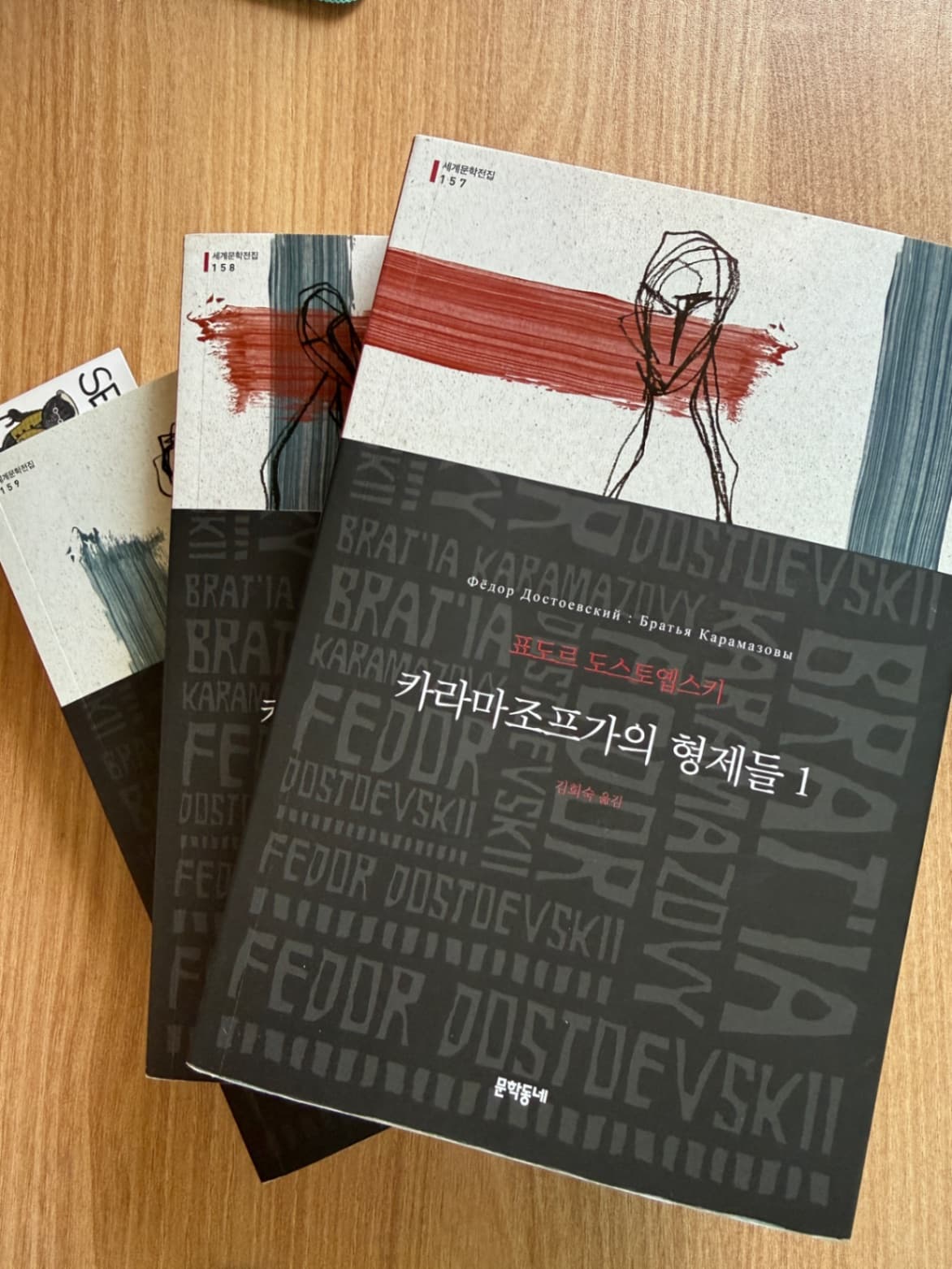 카라마조프가의 형제들 문학동네 세트판매